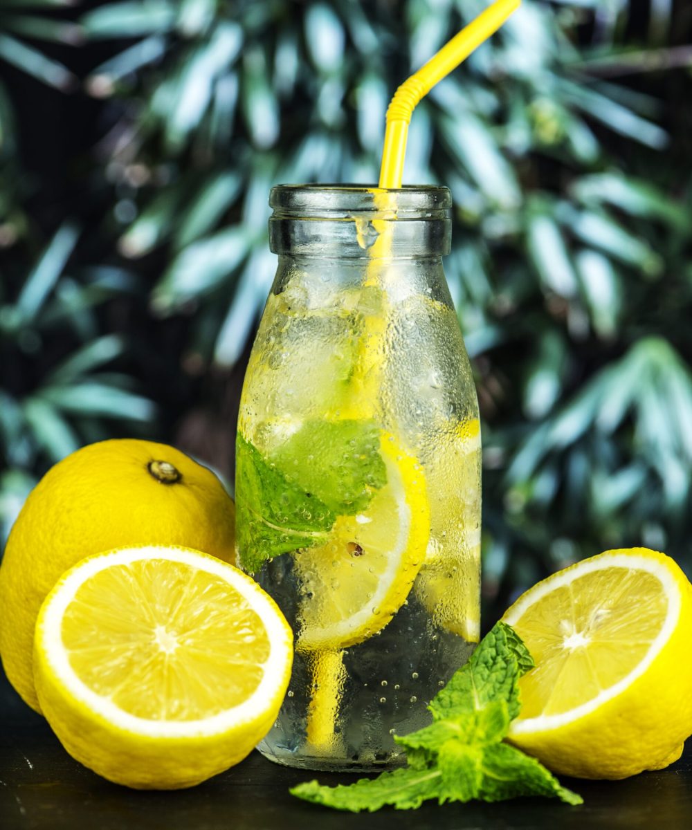 Lemon mint infused water recipe